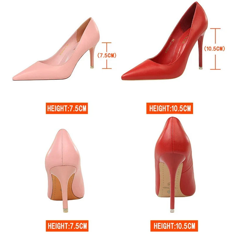 Pointed Toe Stiletto Pumps