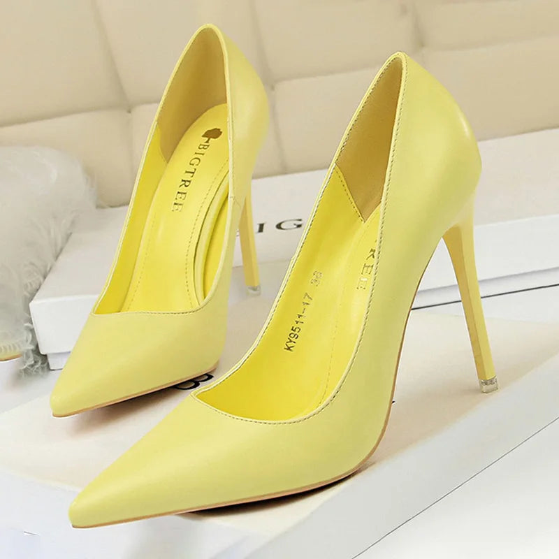 Pointed Toe Stiletto Pumps