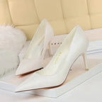 Pointed Toe Stiletto Pumps