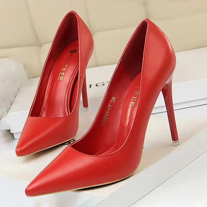 Pointed Toe Stiletto Pumps